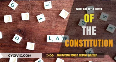 The Constitution's Four Fundamental Roots Explained