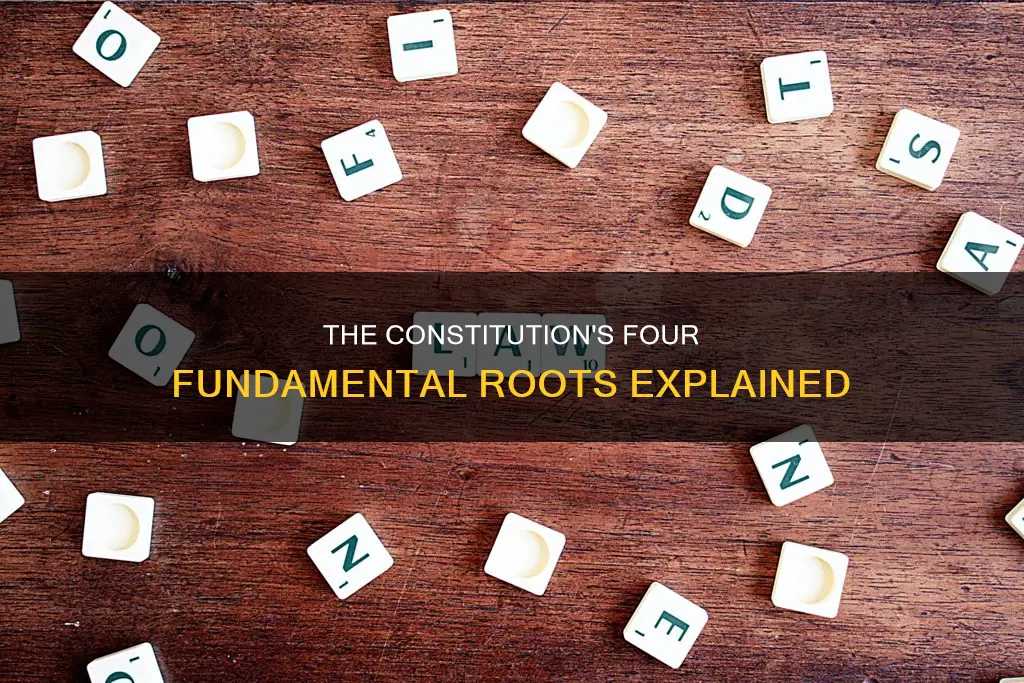 what are the 4 roots of the constitution