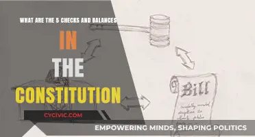 Checks and Balances: Constitution's Foundation of Power Control