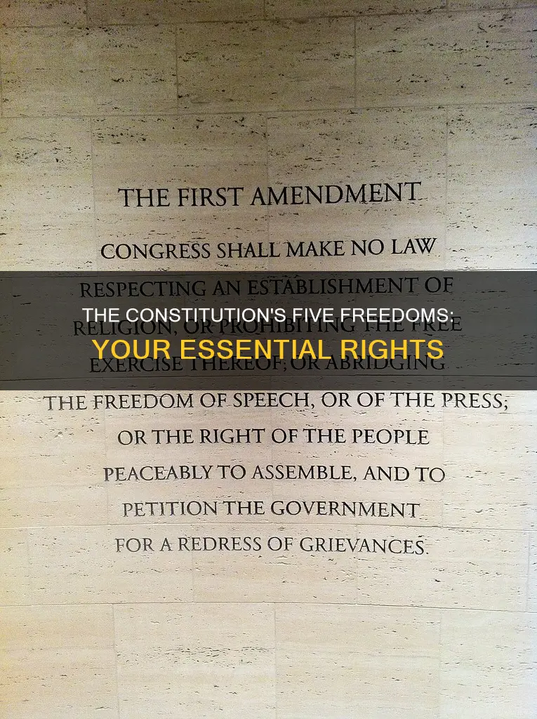 what are the 5 freedoms in the constitution