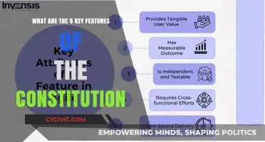Key Constitutional Features: 5 Essential Elements