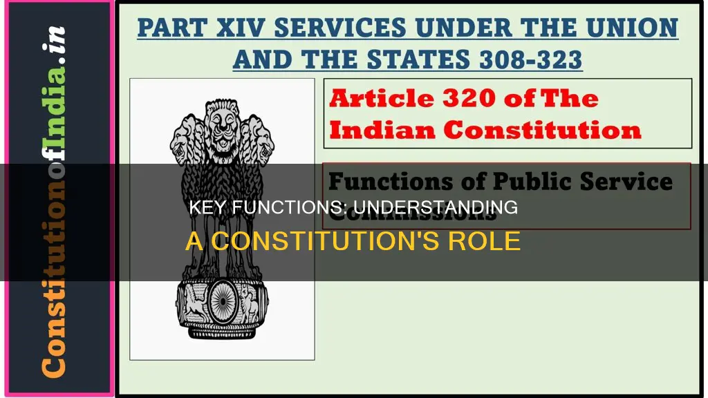 what are the 5 main functions of a constitution