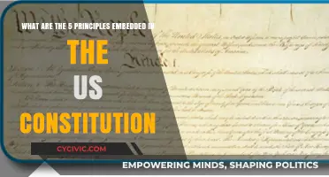 Foundational Principles of the US Constitution