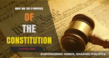 Core Purposes of the Constitution