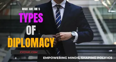 Diplomacy's Diverse Faces: 5 Distinct Strategies for Global Engagement