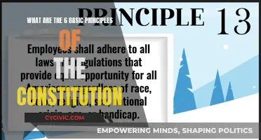 Exploring the Core Principles of the Constitution