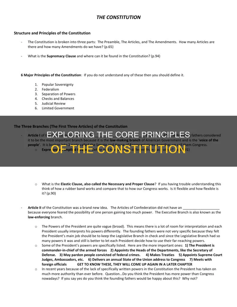 what are the 6 basic principles of the constitution
