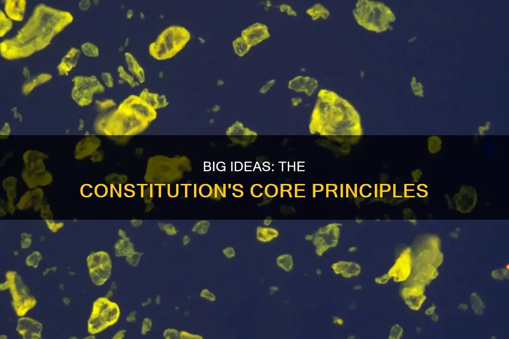 what are the 6 big ideas of the constitution