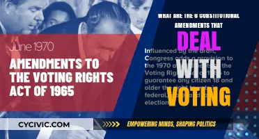 Amendments that Empower Voters