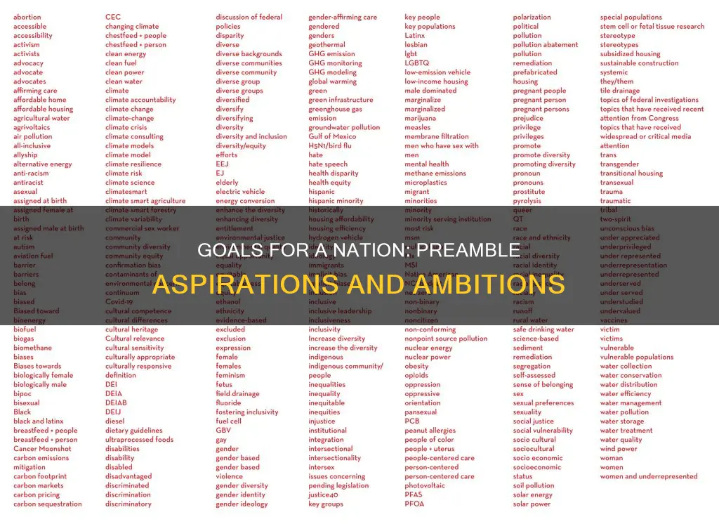 what are the 6 goals in the preamble