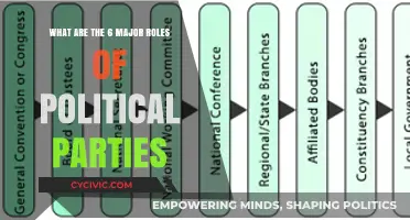 Understanding the Key Functions of Political Parties in Democracy