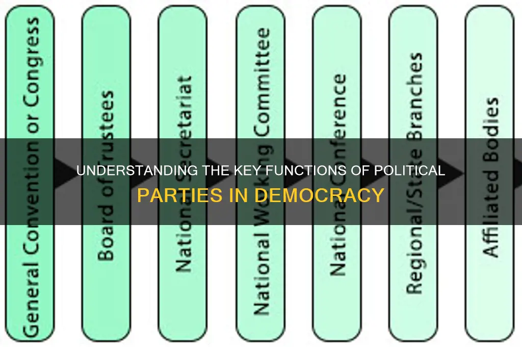 what are the 6 major roles of political parties