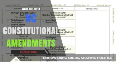 Understanding North Carolina's Constitutional Amendments