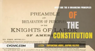 Organizing Principles: The Constitution's Foundation