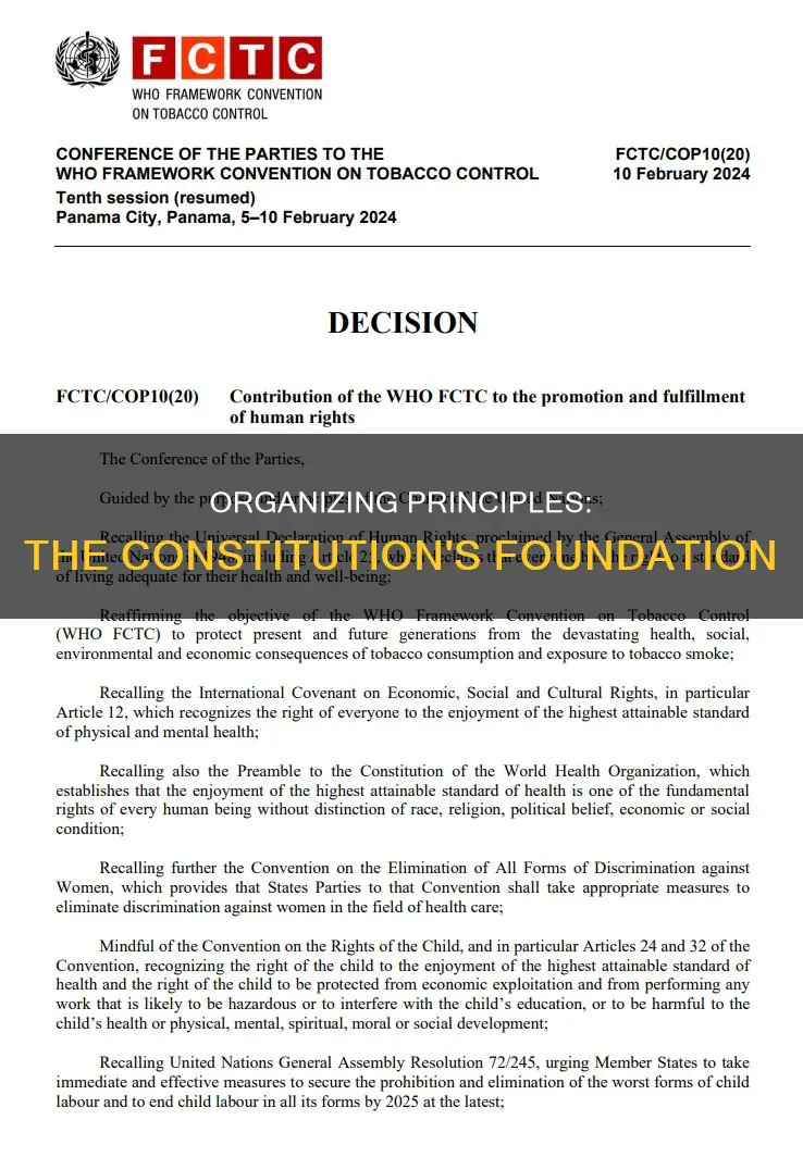 what are the 6 organizing principles of the constitution