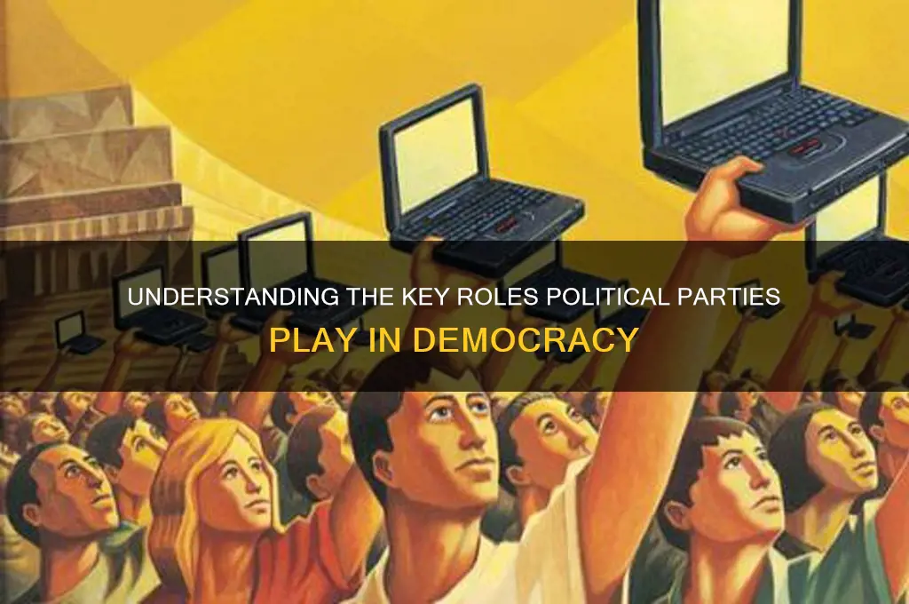 what are the 6 roles of political parties