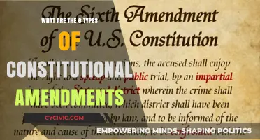 Exploring Constitutional Amendments: Six Distinct Types
