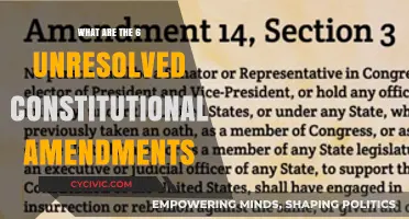 Unsettled Amendments: Six Constitutional Questions