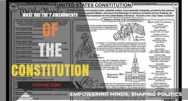 Amendments: The Constitution's Evolution