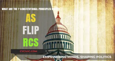 Constitutional Principles: Flip RCS Explained