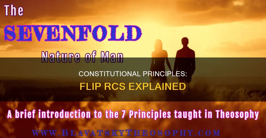 what are the 7 constitutional principles known as flip rcs