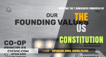 Democratic Principles: The Foundation of the US Constitution