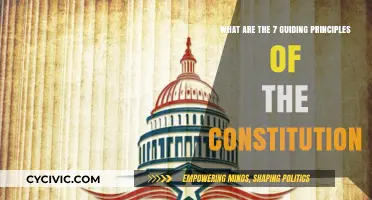 Guiding Principles: The Foundation of Our Constitution