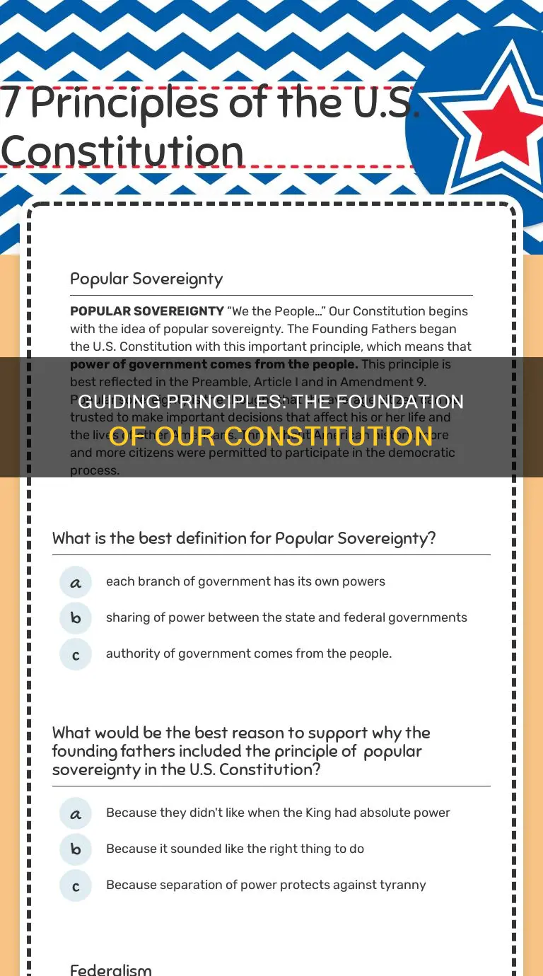 what are the 7 guiding principles of the constitution