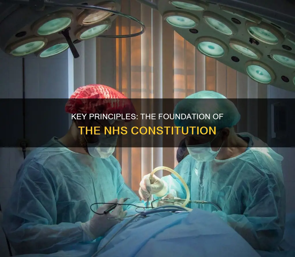 what are the 7 key principles of the nhs constitution