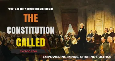 The Constitution's Seven Articles: Exploring the Framework