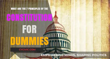 Understanding the Constitution: Core Principles Simplified