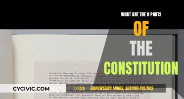 Understanding the Constitution: 8 Key Components Explained
