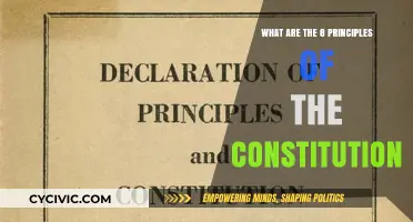Foundational Principles: The Constitution's Core Values