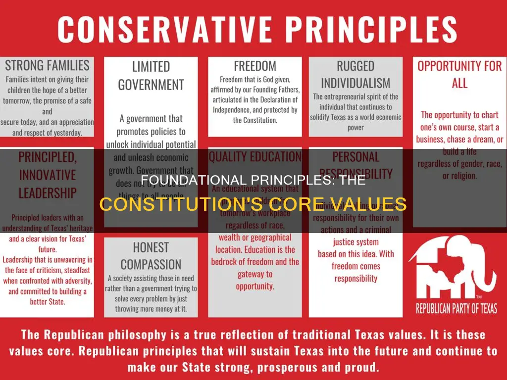 what are the 8 principles of the constitution