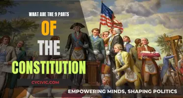 The Constitution's Nine Pillars: Understanding the Foundation of US Law