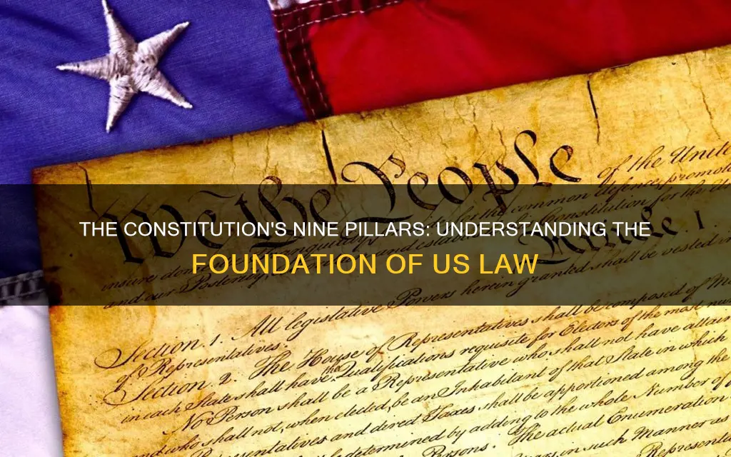 what are the 9 parts of the constitution