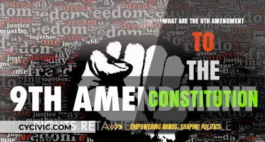 Amendments: Understanding Our Constitution's Ninth Amendment