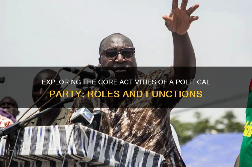 what are the activities of a political party
