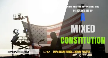 Exploring Mixed Constitutions: Benefits and Drawbacks
