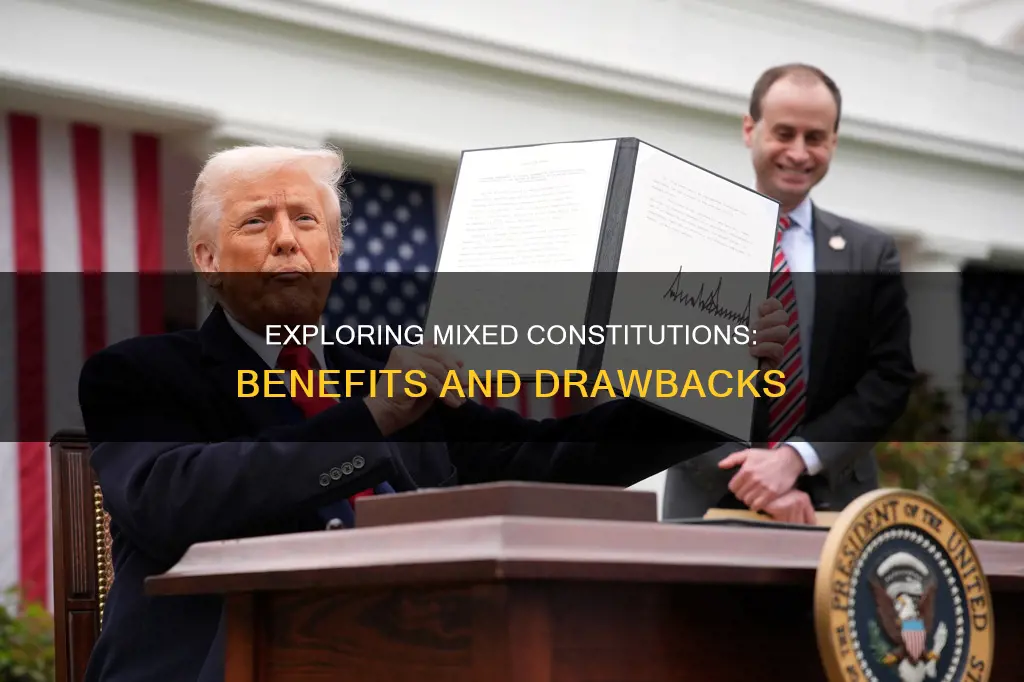 what are the advantages and disadvantages of a mixed constitution