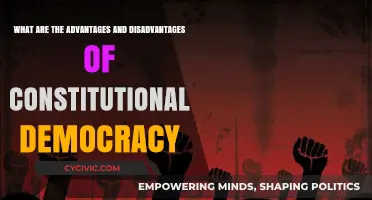 Constitutional Democracy: Benefits and Drawbacks