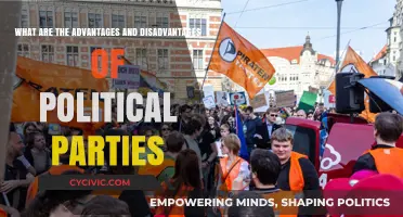 Political Parties: Pros and Cons of Their Role in Democracy