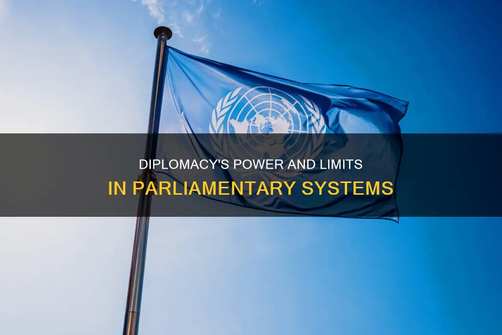 what are the advantages and limitations of parliamentary diplomacy