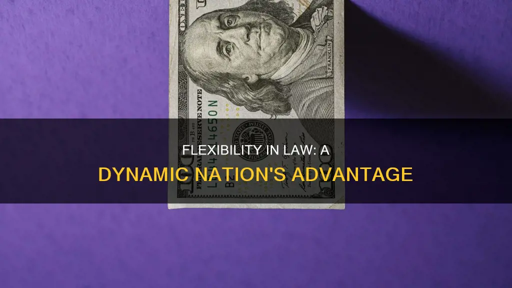 what are the advantages of having a flexible constitution