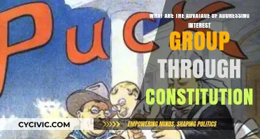 Constitution: Addressing Interest Groups' Advantages