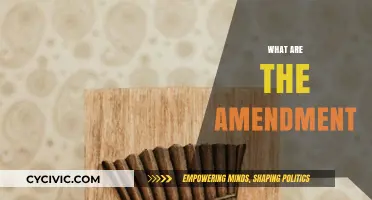 Amendments: The Evolution of Our Rights