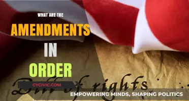 Amendments: The Constitutional Order