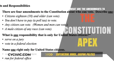 Amendments to the Apex Constitution: Understanding the Changes