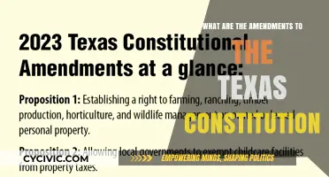 Texas Constitution Amendments: Understanding the Changes
