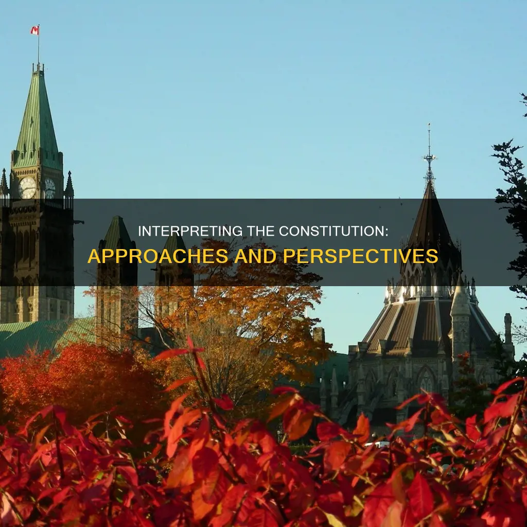 what are the approaches to interpreting the constitution